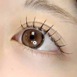 マツエク・マツパ イワイ こはるの眉毛・アイブロウイメージ