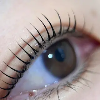 マツエク・マツパ Dityca rify岩佐のマツエク・マツパデザイン