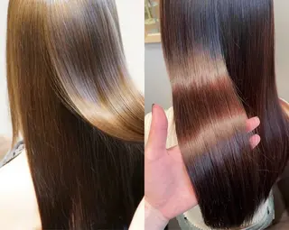 Koyuki /透明カラー/ボブのヘアスタイル