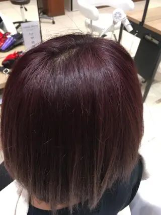 ショート カラー 飛來 藤本のヘアスタイル