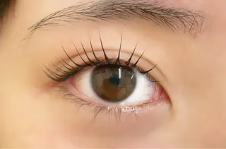 マツエク・マツパ DOLL -eyelash-のマツエク・マツパデザイン