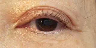 マツエク・マツパ verba バーバの眉毛・アイブロウイメージ