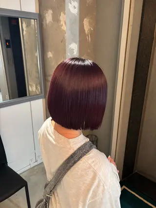 ショート カラー 関口 玲那のヘアスタイル