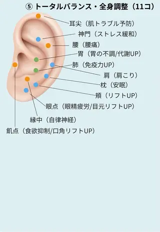 縮毛矯正／韓国ヘア AO俊介🌐のヘアスタイル