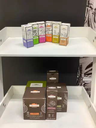 SWARO スワロの眉毛・アイブロウイメージ