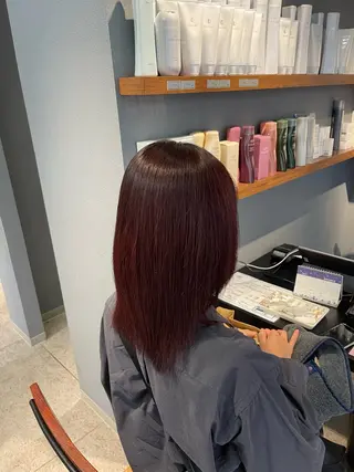 ミディアム レディースカット 募集/今間 海音のヘアスタイル