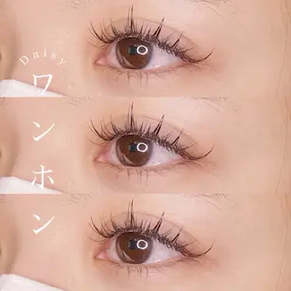 マツエク・マツパ 𝐷𝒂𝒊𝒔𝒚 デイジーのマツエク・マツパデザイン