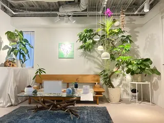 Relaxation Salon KAIのエステ・リラクイメージ