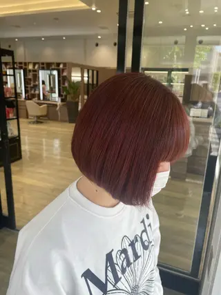 ショート 田中 あかりのヘアスタイル