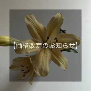 ROCCO Yukaのマツエク・マツパデザイン