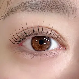 マツエク・マツパ linoa🌿 【天王寺】のマツエク・マツパデザイン