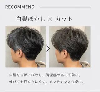 メンズ 上原成統/艶カラー/ 白髪ぼかし/表参道のヘアスタイル