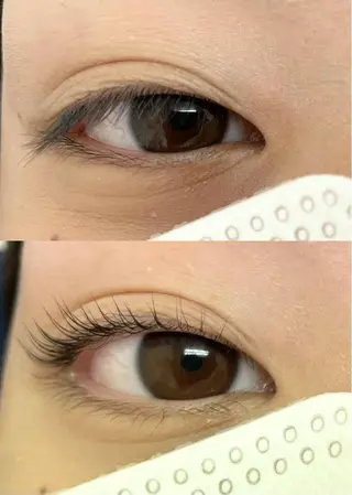 マツエク・マツパ eyelash f　香里園のマツエク・マツパデザイン