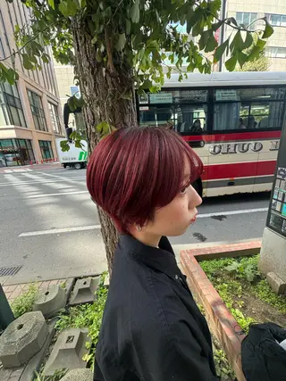 ショート 青海 サヤのヘアスタイル