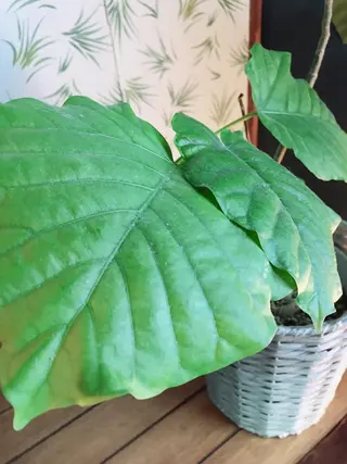 miraie 南畑未来のエステ・リラクイメージ