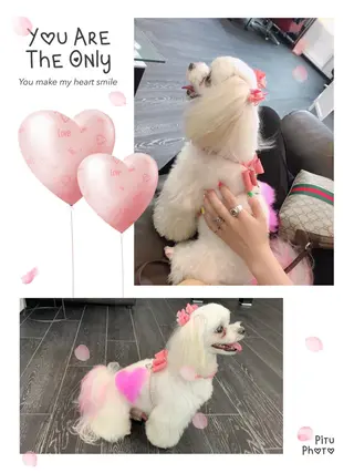 ネイル コウ カnail💅のネイルデザイン