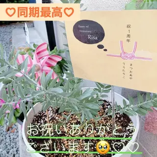 メナード熊本 嘉島のその他イメージ