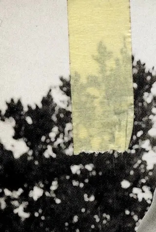 ネイル 土川 芽依奈のネイルデザイン