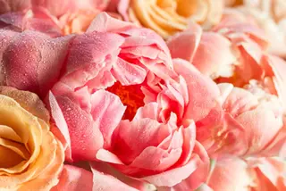 genese beauteのエステ・リラクイメージ