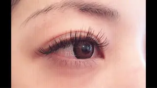 マツエク・マツパ hia   ヒア マツエク/パリエクのマツエク・マツパデザイン