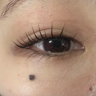 マツエク・マツパ 🧸Celeste Venusのマツエク・マツパデザイン