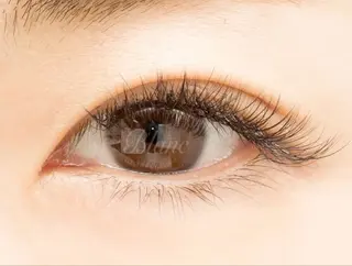 マツエク・マツパ Blancスクール モデル様募集のマツエク・マツパデザイン