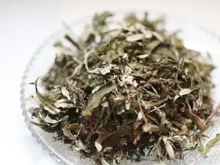 よもぎ蒸し専門店 Artemisiaのエステ・リラクイメージ