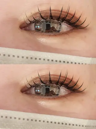 マツエク・マツパ 美まつげと美肌サロン lavjuのマツエク・マツパデザイン