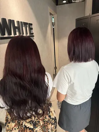 カラー _WHITE / KENTOのヘアスタイル