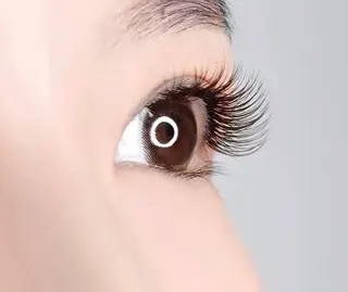 マツエク・マツパ Livnus リブナスのマツエク・マツパデザイン