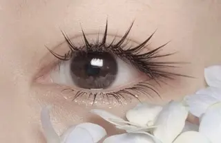 マツエク・マツパ A.MEYELASH SALON大久保店のマツエク・マツパデザイン