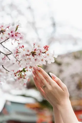 ネイル Primavera 新横浜🤍美フォルムのネイルデザイン