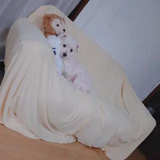 大城 裕麻のネイルデザイン