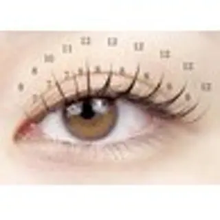 マツエク・マツパ 【ぱっちり職人】 店長 矢吹のマツエク・マツパデザイン