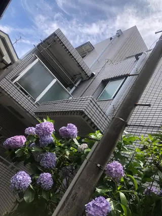 salon *meehoのネイルデザイン