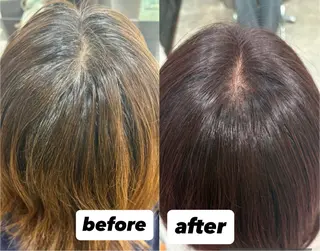 セミロング カラー カット✂︎ /ｳｻﾐのヘアスタイル