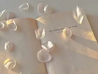 MASAKI KOKOROの眉毛・アイブロウイメージ