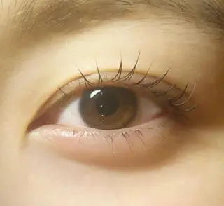 マツエク・マツパ 【Refine】 磯部のマツエク・マツパデザイン