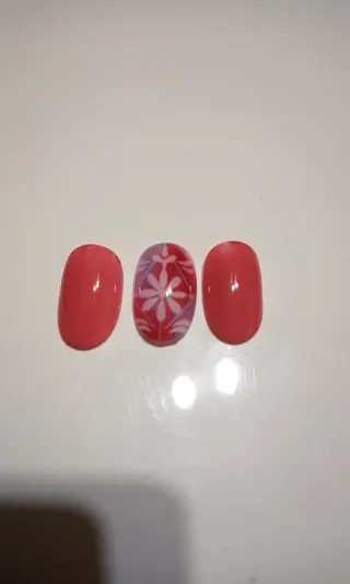 ネイル 中山 秀展のエステ・リラクイメージ