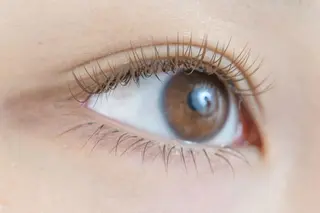 マツエク・マツパ アイサロン フェア 海老名店のマツエク・マツパデザイン