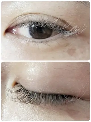 マツエク・マツパ arms lash 白井のマツエク・マツパデザイン