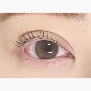 マツエク・マツパ nicott lash京橋店のマツエク・マツパデザイン