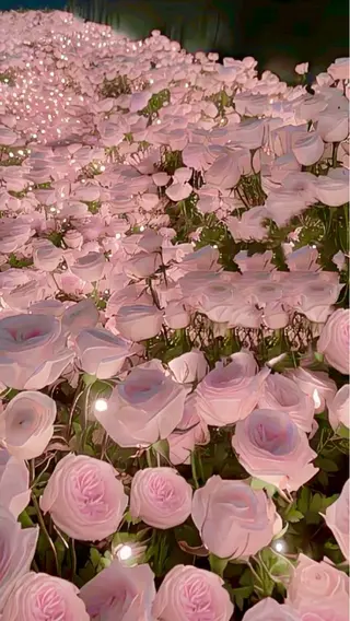 キッズ Anela 🦋HARUMIの眉毛・アイブロウイメージ