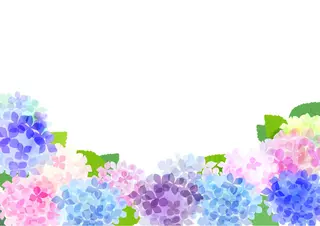 中村公園 POLA 岩田のエステ・リラクイメージ