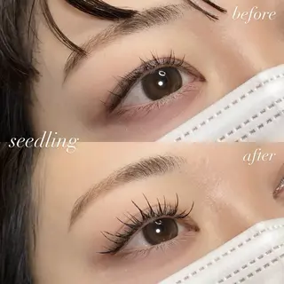 マツエク・マツパ シードリン 府内店 杉田のマツエク・マツパデザイン