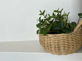 マツエク・マツパ eyelash sa lon Natureのマツエク・マツパデザイン