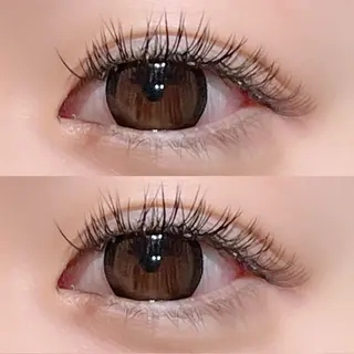 マツエク・マツパ Plus  Elima所属・Plus Elima / MORIのマツエク・マツパデザイン