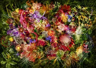 POLAアンシュシュ 💠後藤友加のエステ・リラクイメージ