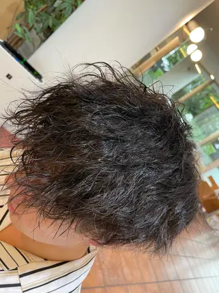 ショート パーマ メンズ 🌸髪質改善🌸 Shuhei🗝♠のヘアスタイル