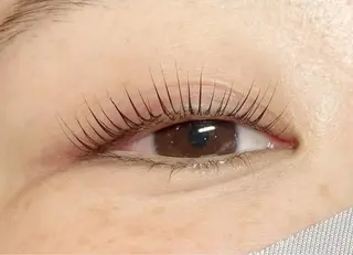 マツエク・マツパ CITRON ⭐︎のマツエク・マツパデザイン